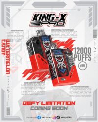 KINGX PRO 12000 PUFFS